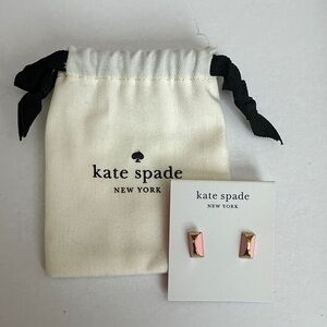 Kate Spade Light Pink Sliced Scallop Earrings NWT